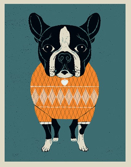 Boston Terrier