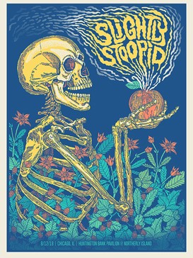 Slightly Stoopid Chicago Apple