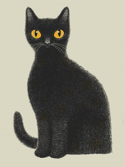 BLACK CAT