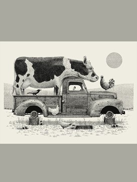 Cow in Truck