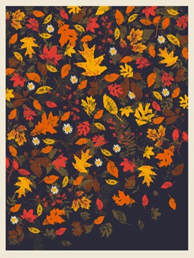 Fall Leaves