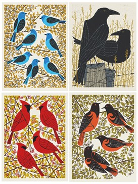 BIRD SET