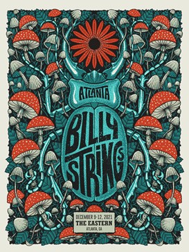 BILLY STRINGS DAISY BUG